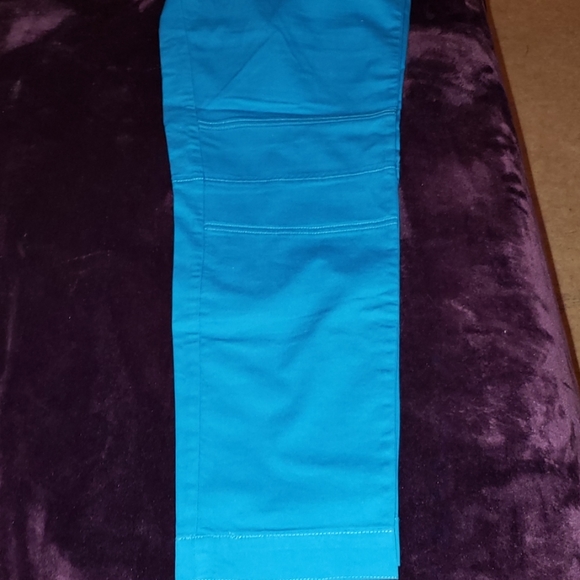 NWT DEREK LAM Pretty Bright Aqua Blue Cropped Pants - Picture 7 of 7